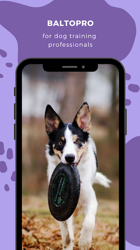 Android application BaltoPro Dog trainer assistant screenshort
