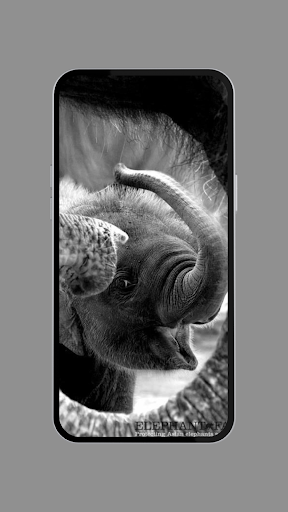 Android application Elephant Wallpapers screenshort