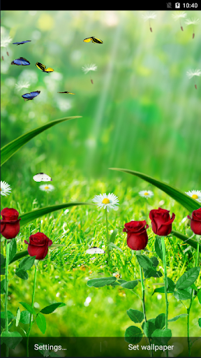 Android application Garden Live Wallpaper screenshort