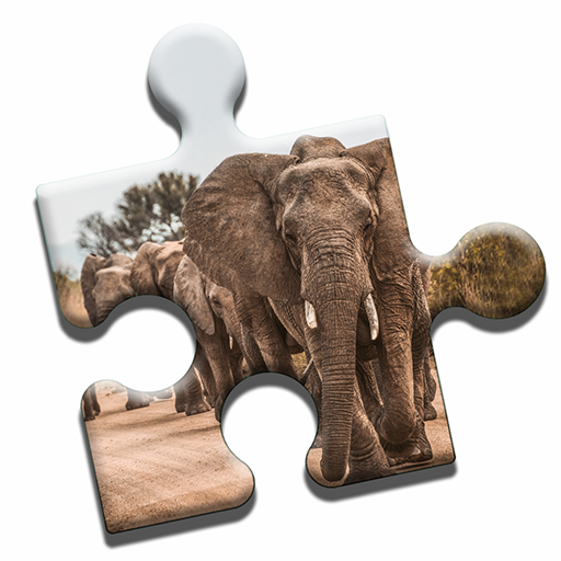 Safari Jigsaw Puzzle logo