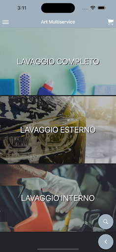 Art Multservice Screen 2