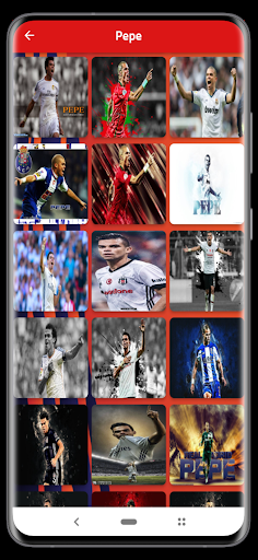 Portugalian team wallpaper Screen 3