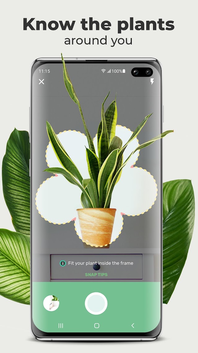 Blossom - Plant Identification APK Download 2022