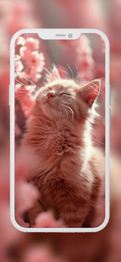 Screenshot of Cat & Kitten Wallpaper 4K - HD