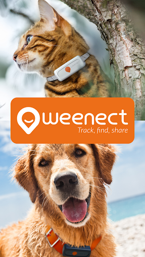 Weenect Localizador GPS para gatos - Cangos