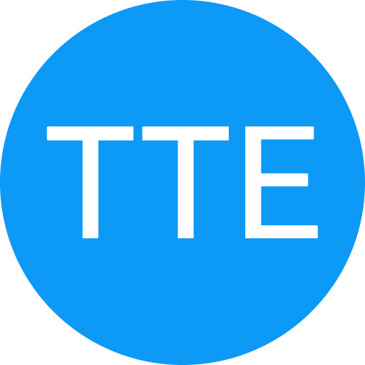 TinTin Express 天天速遞 logo