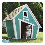 Dog Houses Design ( Offline ) Apk