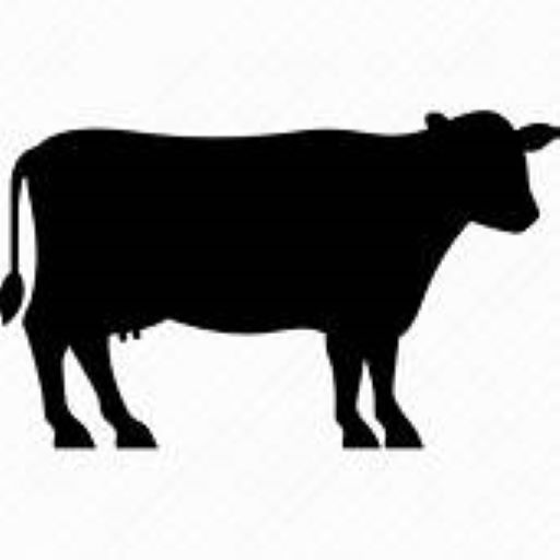 CMS logo