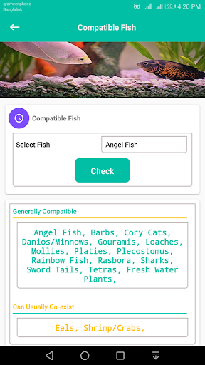 Aquarium Guide For Beginner Screen 3