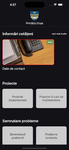 Primăria Gruia Screen 2