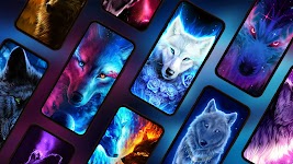 screenshot of Wolf Wallpapers 4K