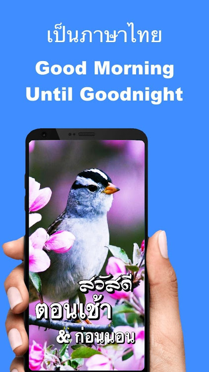 Thai Good Morning & Good Night - 9.12.00.8 - (Android)
