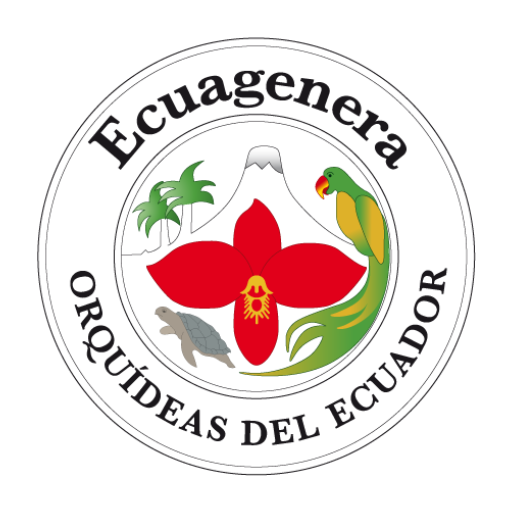 Get Ecuagenera for Android Aso Report