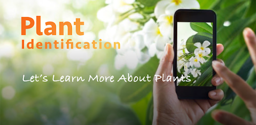 Leafsnap Plant Identification Apps On Google Play