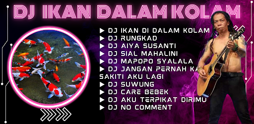 DJ Ikan Dalam Kolam DJ Offline Screen 3