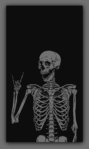 Skull Wallpapers HD Screen 2