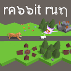 Rabbit SpeedRun