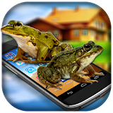 Frog on Phone Prank icon