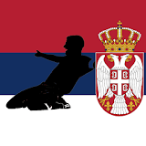 Prva liga Srbije icon