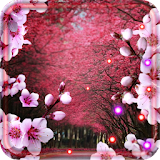 Sakura Flowers live wallpaper icon