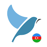 Learn Azerbaijani. Speak Azerb icon