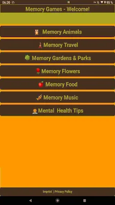 Golden Memory - Screenshot 1