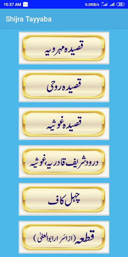 Shijra Tayyaba Screen 3