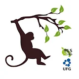 Desafio Sustentabilidade UFG icon
