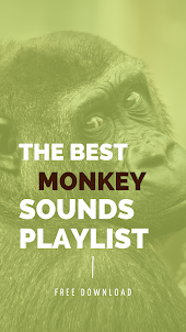 Monkey sound