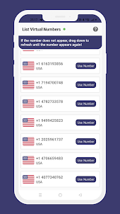 USA Phone Numbers Verification