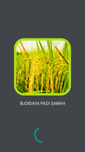 Rice Field Cultivation