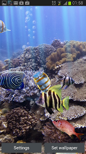 Настоящий аквариум -живые обои Screenshot