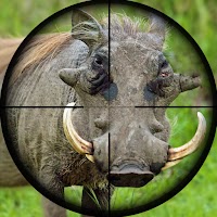 Дикая охота - Снайперская стрельба из свиней