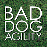 Bad Dog Agility Apk
