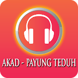 Lagu PAYUNG TEDUH - Akad MP3 icon