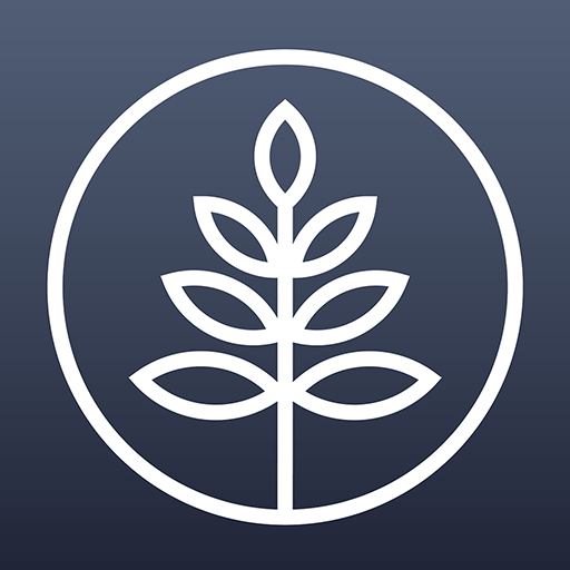 treezi logo