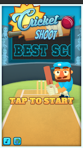 Cricket Shoot - Cricket Games