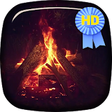 Camp Fire 3D Live Wallaper icon