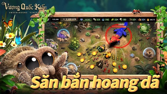 Vương Quốc Kiến – Gamota 4