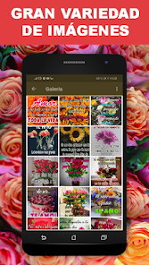 Imágen 1 Flores y Rosas de Amor con Fra android