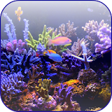 Aquarium Video 3D Wallpaper icon