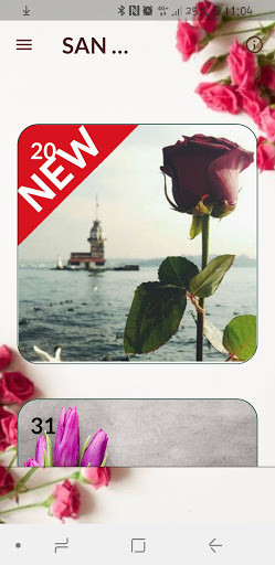 Android application DÍA DE LOS ENAMORADOS ROSAS screenshort
