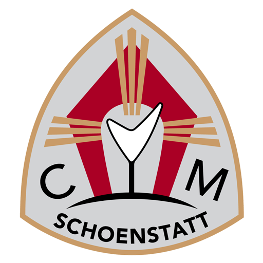 Fútbol Padres Colegio Mater logo