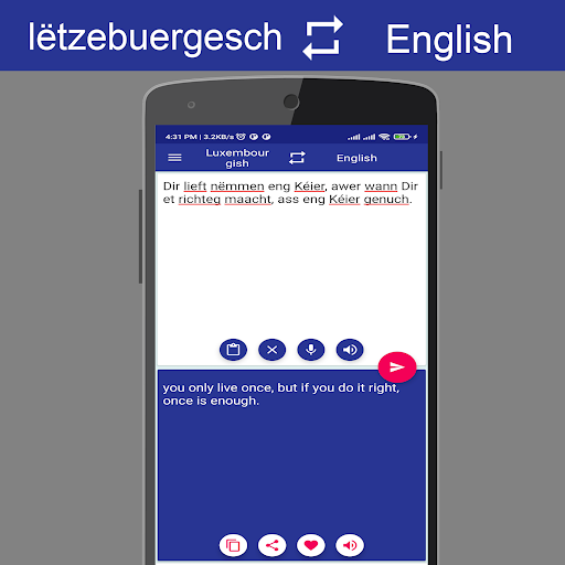 Luxembourgish English Trans Screen 3