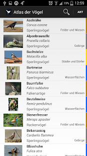 Vögel Europas FULL Screenshot