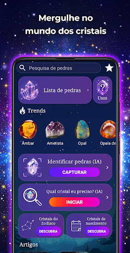 Visualização do aplicativo