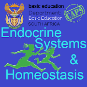 Grade12 Homeostasis and Endocrines | Life Sciences