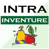 INTRA INVENTURE icon