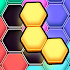 Hexa Puzzle Game - Hexa Block