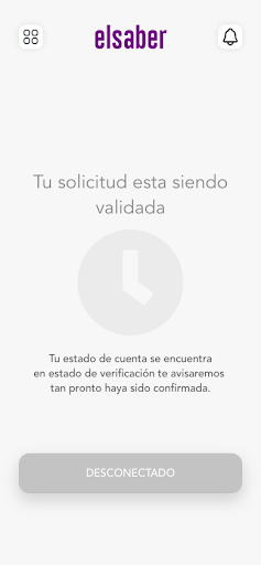 elsaber Asesores Screen 2